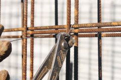 IMG_1735