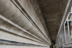 IMG_1447